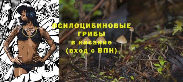 СК Осташков