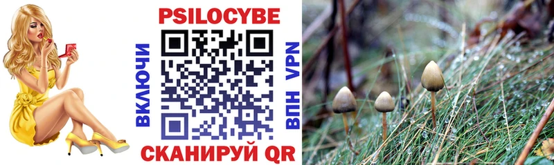 Псилоцибиновые грибы MAGIC MUSHROOMS Колпашево